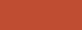 BASIC COLOUR 155
