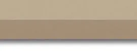 BEIGE 2038