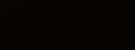 RAL 9005
