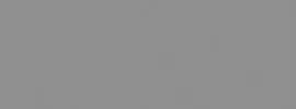 RAL 9007